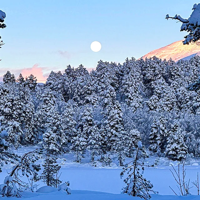 Høye strømpriser: Dette driver prisene Høye strømpriser: Dette driver prisene