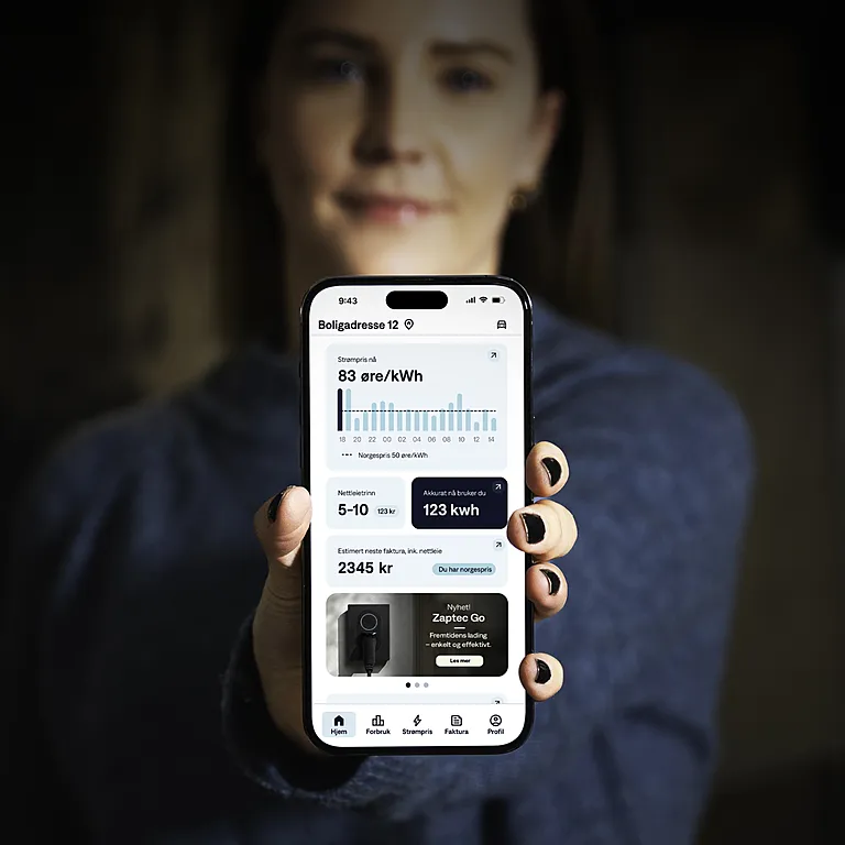 Alt du trenger å vite om Norgespris Alt du trenger å vite om Norgespris