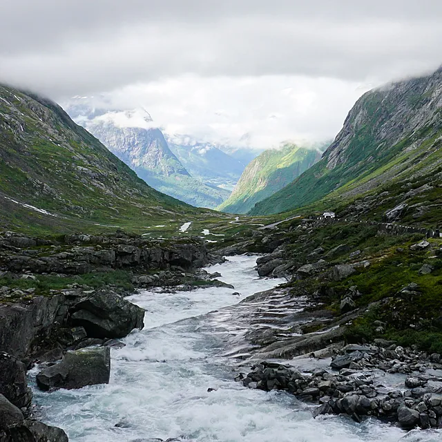 Norgespris kan bli høstens prisvinner i Midt-Norge Norgespris kan bli høstens prisvinner i Midt-Norge