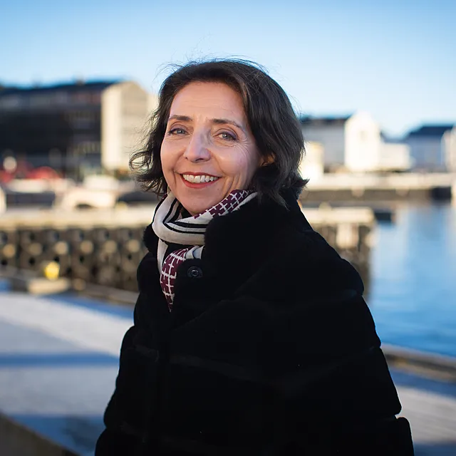 Hvorfor er strømmen så dyr akkurat nå? Hvorfor er strømmen så dyr akkurat nå?